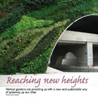 Flourish reaching new heights thumbnail Flourish reaching new heights thumbnail
